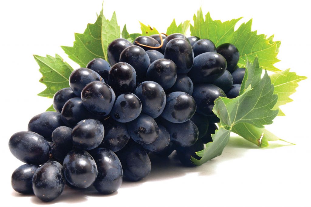 black-grape-3