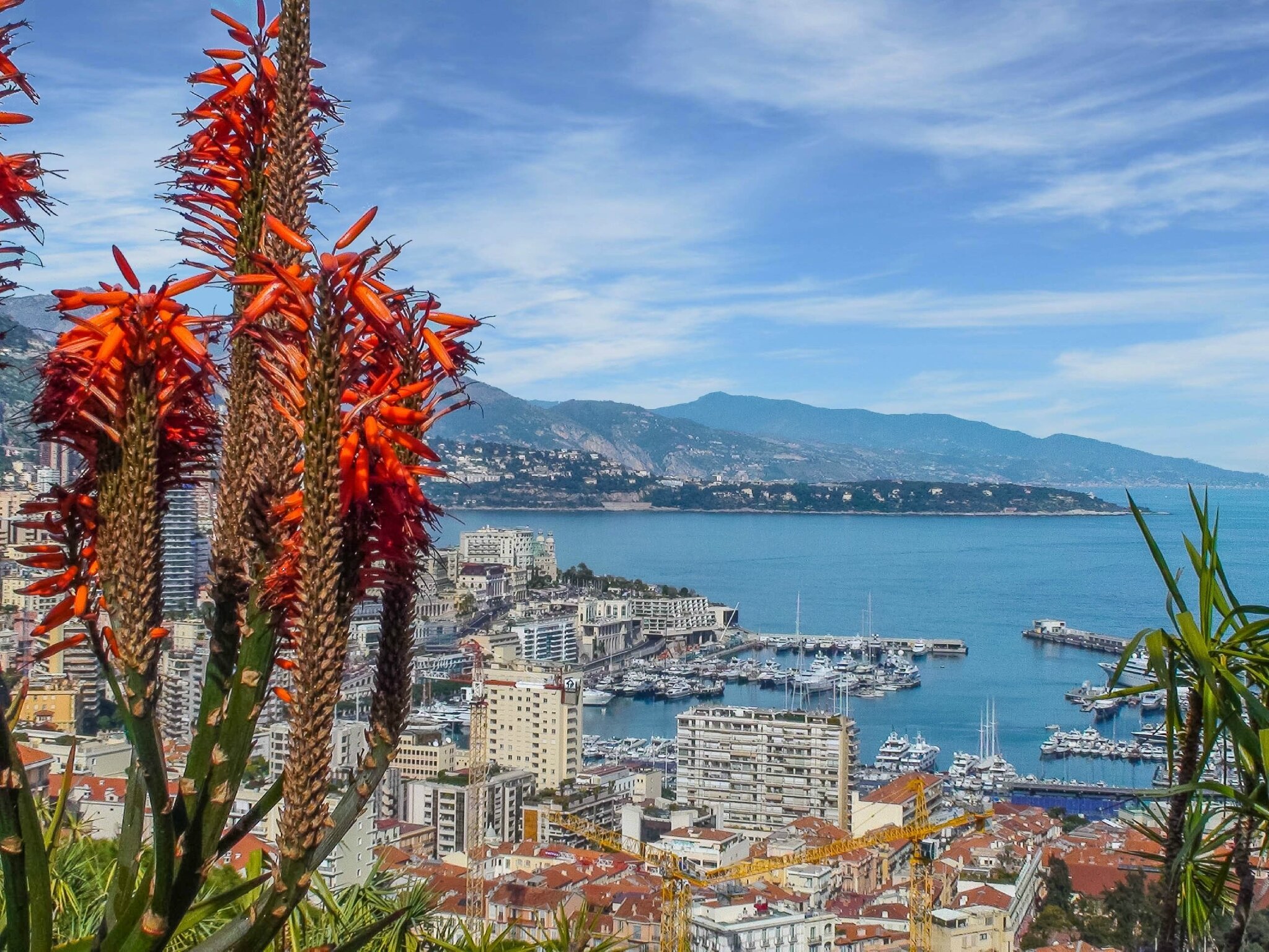 Екзотичний сад Монако визнаний одним із найкрасивіших садів у світі