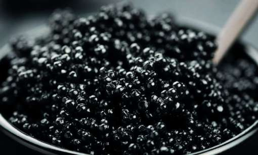 Мalakhoff caviar: 50 оттенков «чёрного золота»
