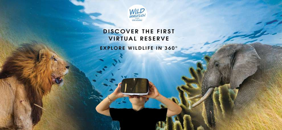 Wild Immersion au Parc Phoenix : un voyage virtuel au cœur de la vie sauvage à Nice